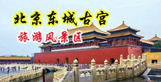 美女勉费日逼视频中国北京-东城古宫旅游风景区